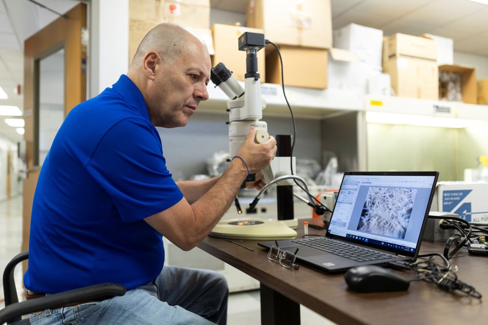 Envían semillas al espacio para investigar cultivos resistentes al clima