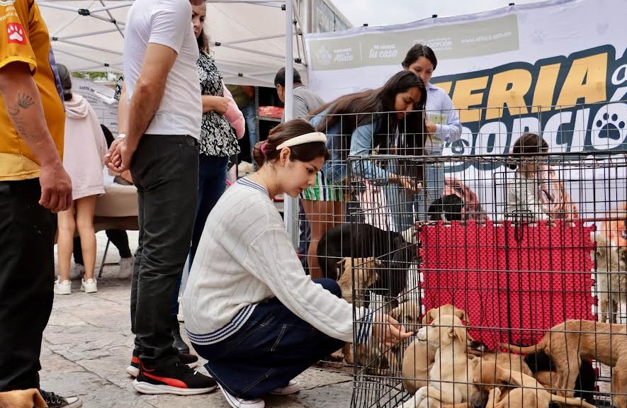 Atlixco impulsa el bienestar animal con más de 200 adopciones