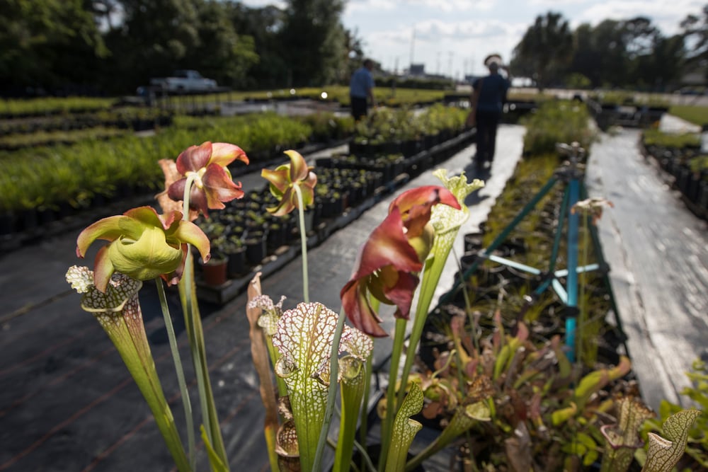 Capacitación gratuita para fortalecer el agro