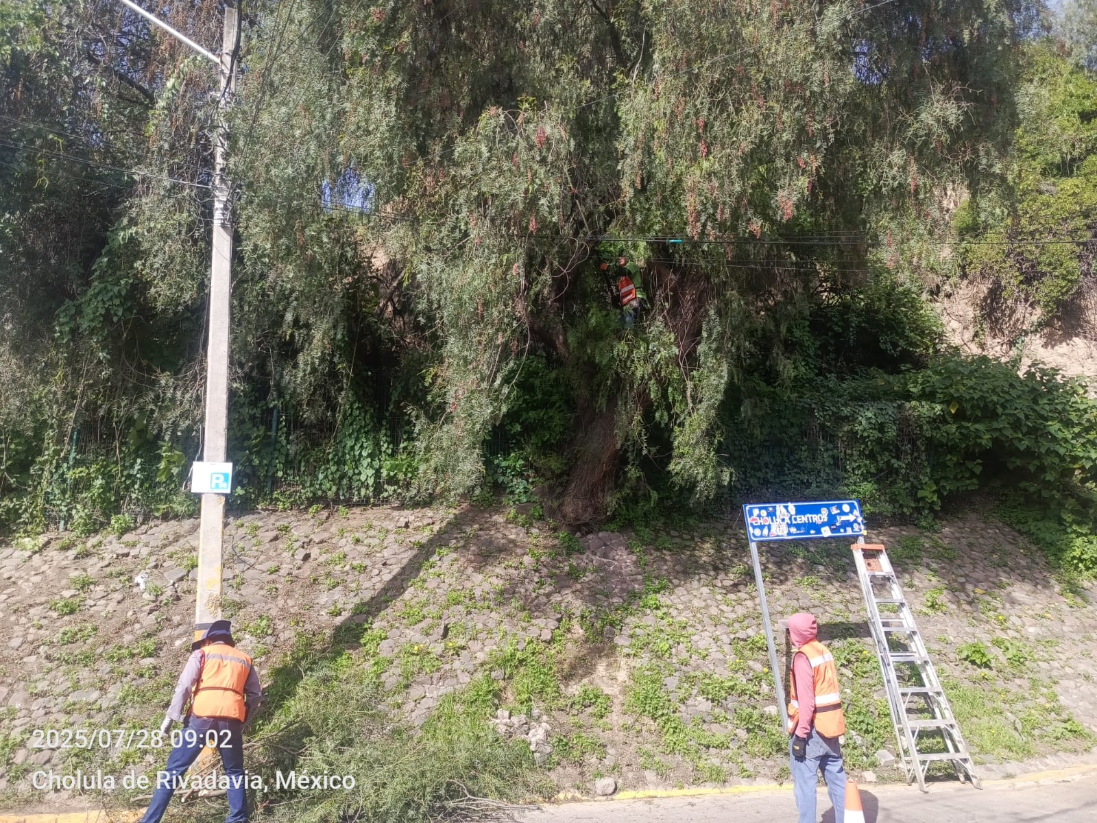 Gobierno de Cholula refuerza acciones de mantenimiento en espacios públicos y áreas verdes