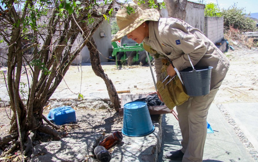 Dengue en Puebla: casos bajan 81% durante 2025