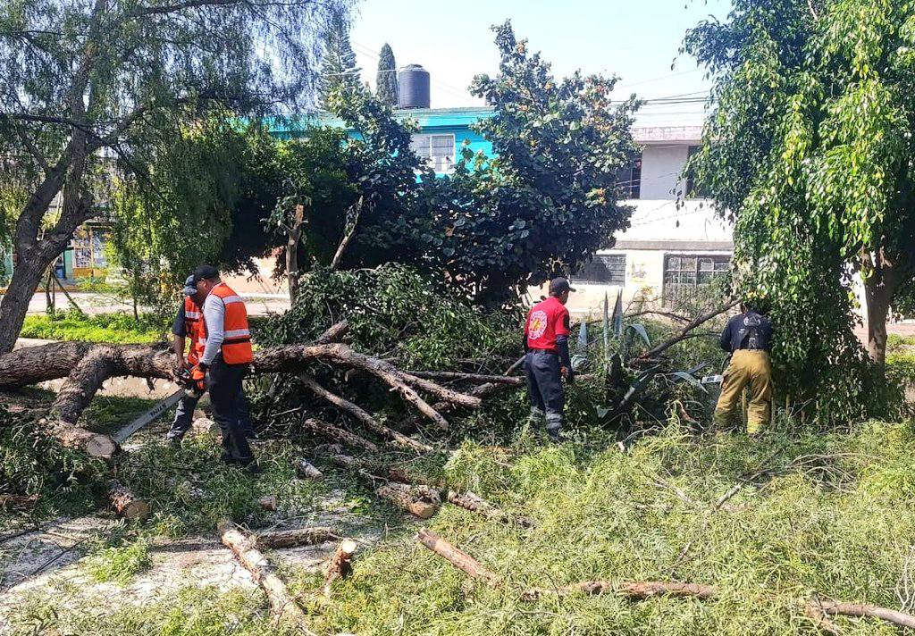 Atienden riesgos por poste y árbol caído en distintos puntos de San Pedro Cholula