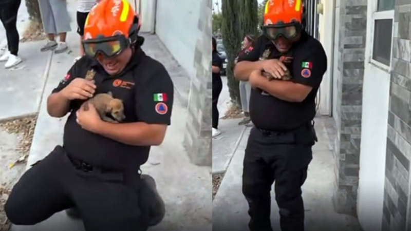 Rescatan a perrito tras 3 días atrapado en drenaje de Monterrey