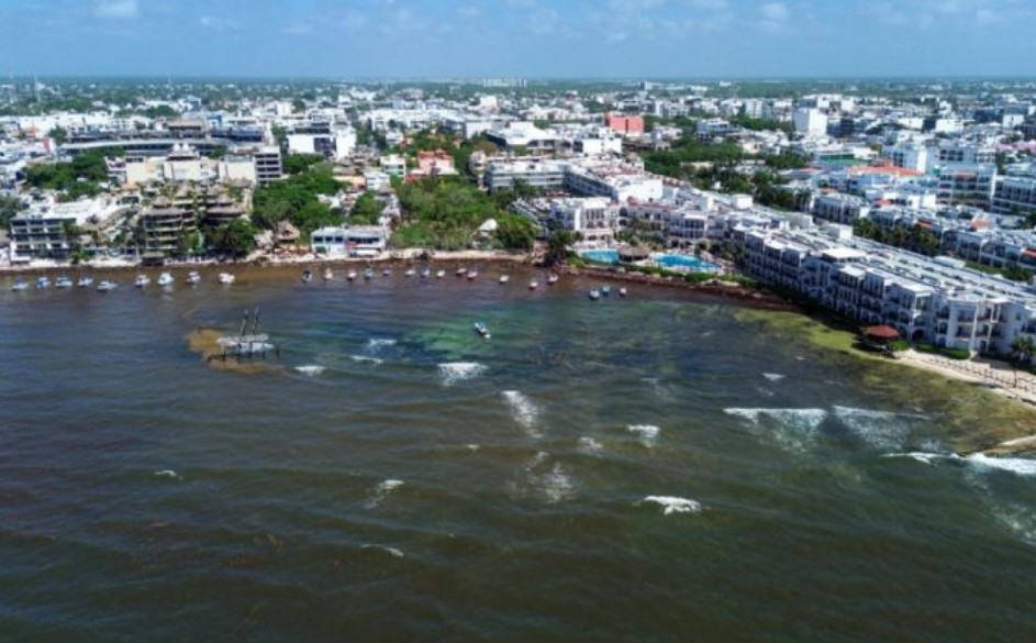UNAM alerta sobre un récord de sargazo que podría colapsar el Caribe
