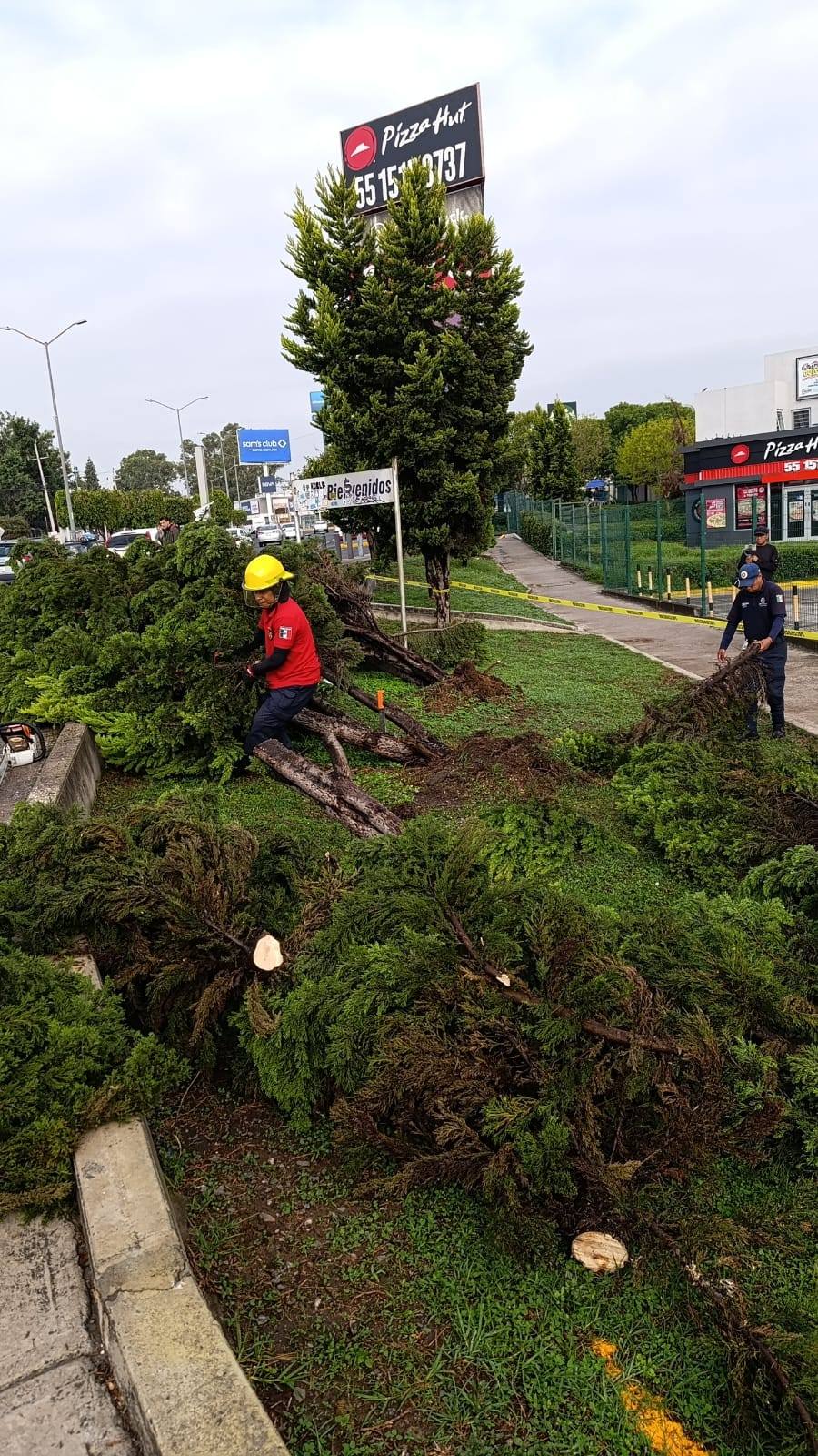 tfd visita zonas afectadas por lluvias 2 1