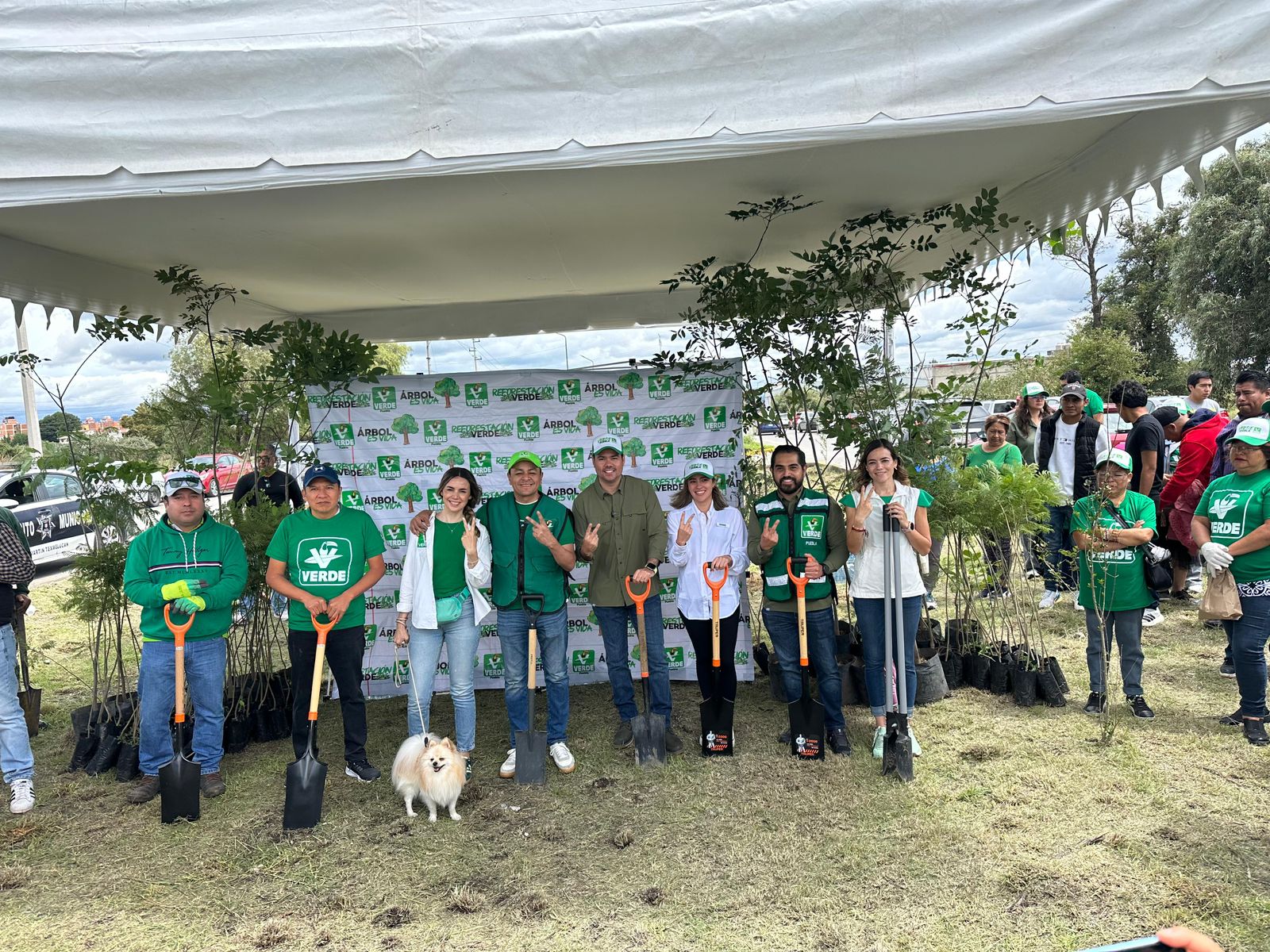 Partido Verde realiza jornada de reforestación en San Martín Texmelucan