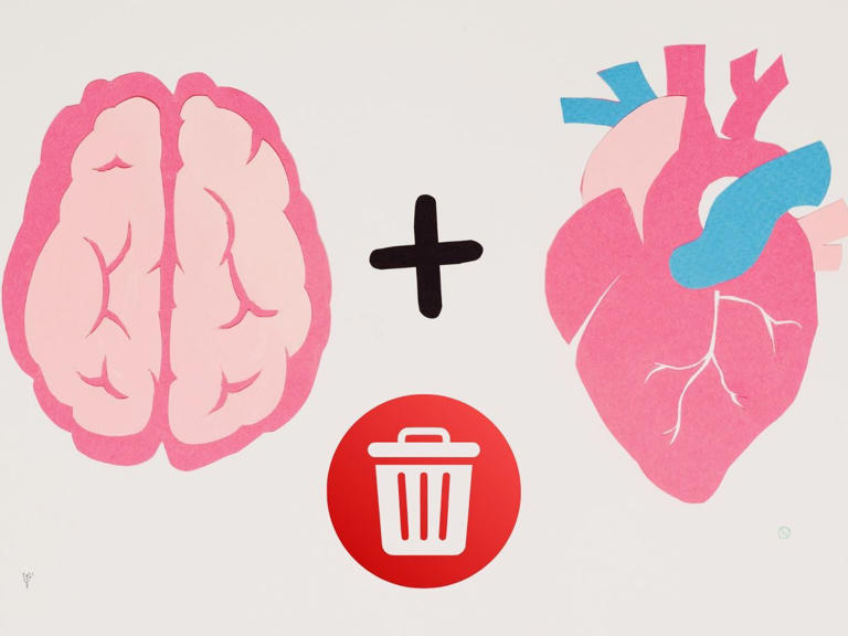 ¿Cómo elimina el cerebro los malos recuerdos? Científicos lo descubren