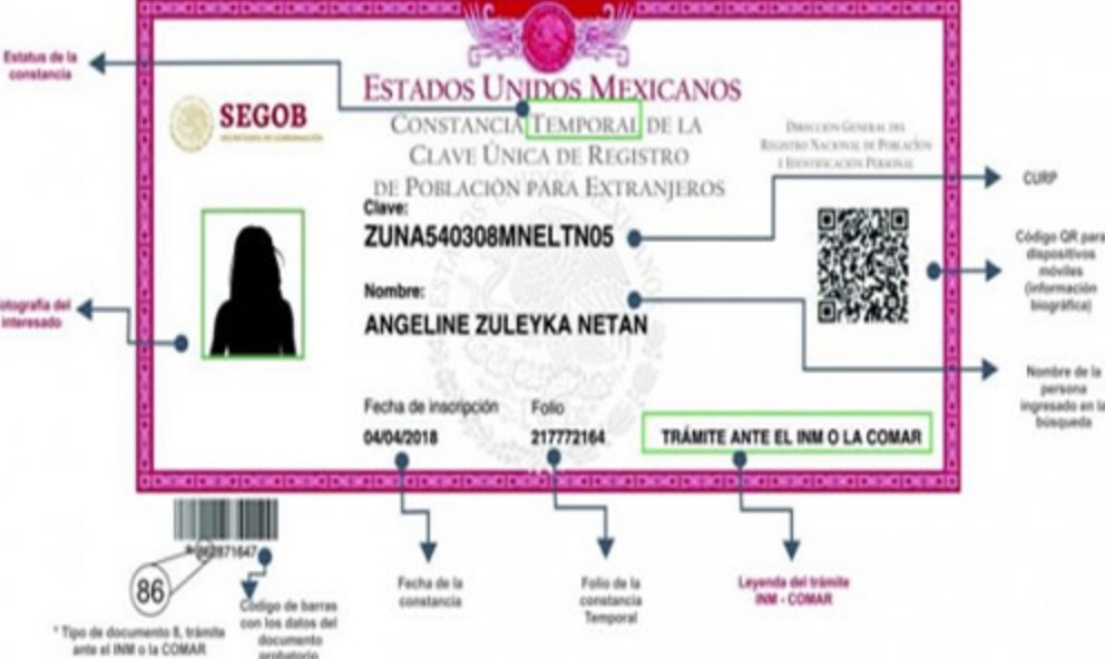 Senado aprueba ley para digitalizar trámites y concentrar datos personales