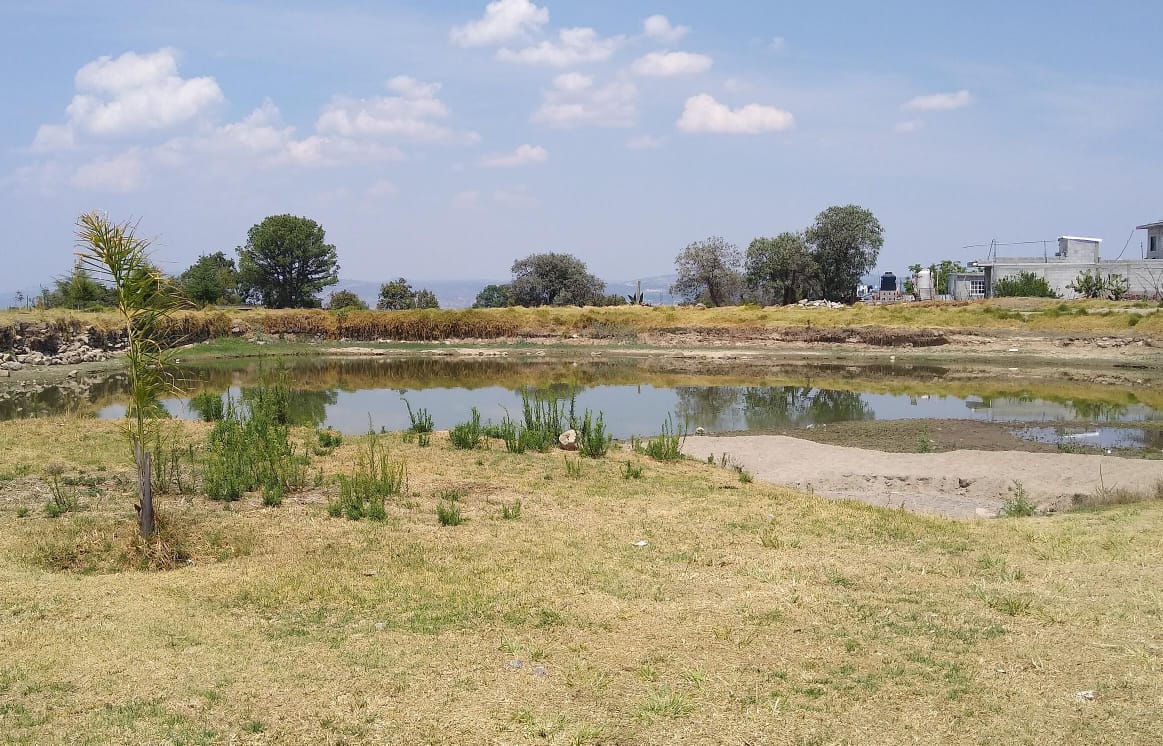 Tlaxcala construye más de 700 jagüeyes para enfrentar la sequía