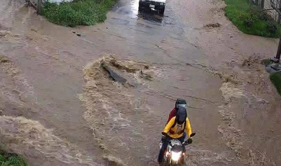 Lluvias arrasan con viveros de cempasúchil en Atlixco