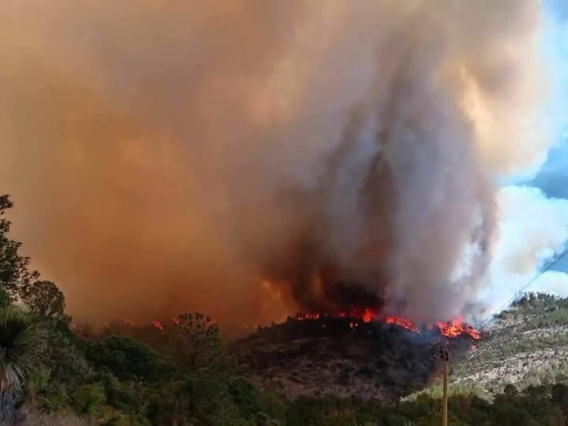 Gobierno de Puebla adquirirá 10 vehículos para combatir incendios forestales
