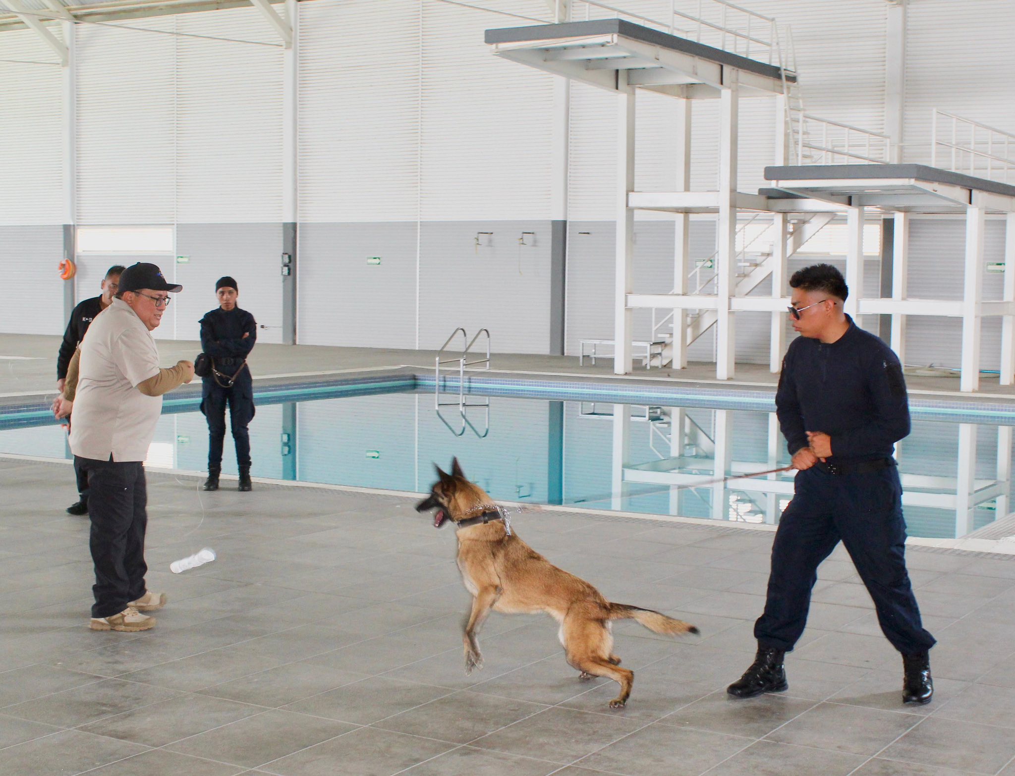 Fortalece San Andrés Cholula seguridad con curso especializado para la Unidad Canina