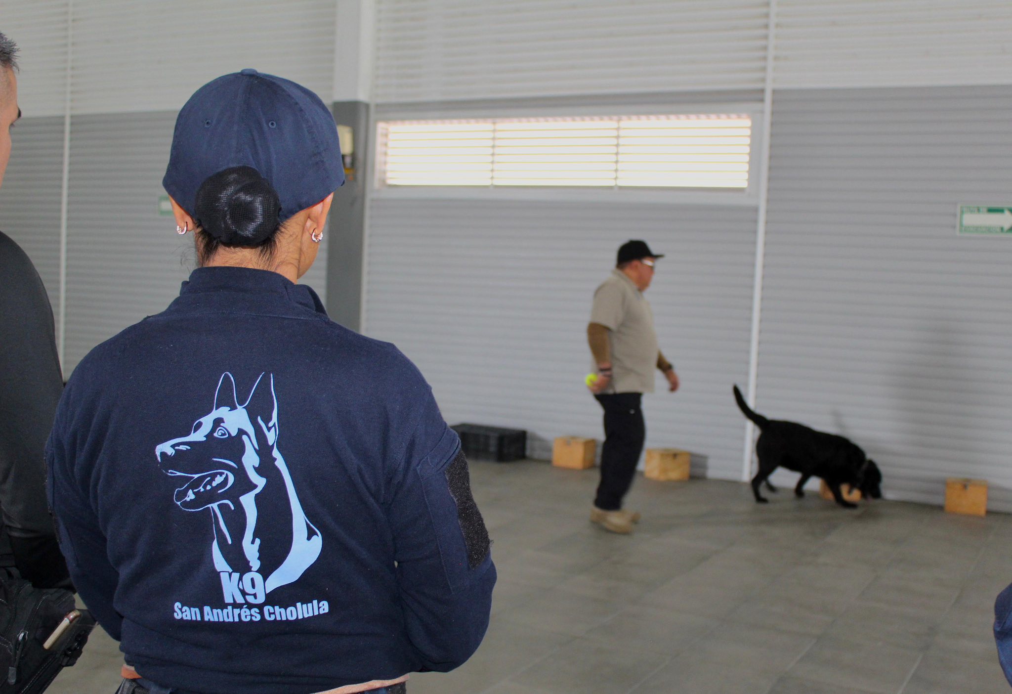 Fortalece San Andrés Cholula seguridad con curso especializado para la Unidad Canina