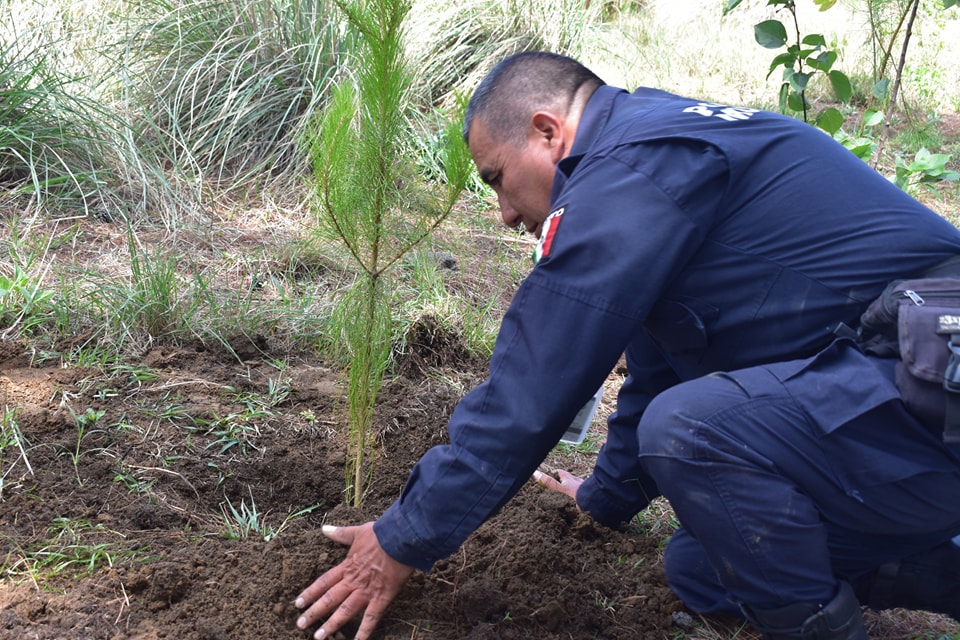 reforestan zapotecas ssc ciclistas 5
