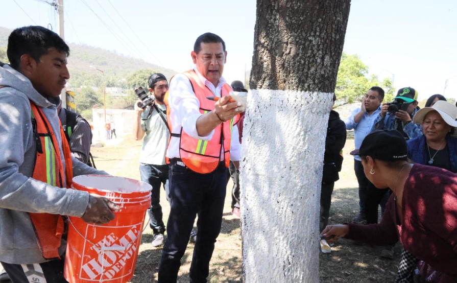 Puebla fortalece árboles urbanos con tratamiento técnico-científico