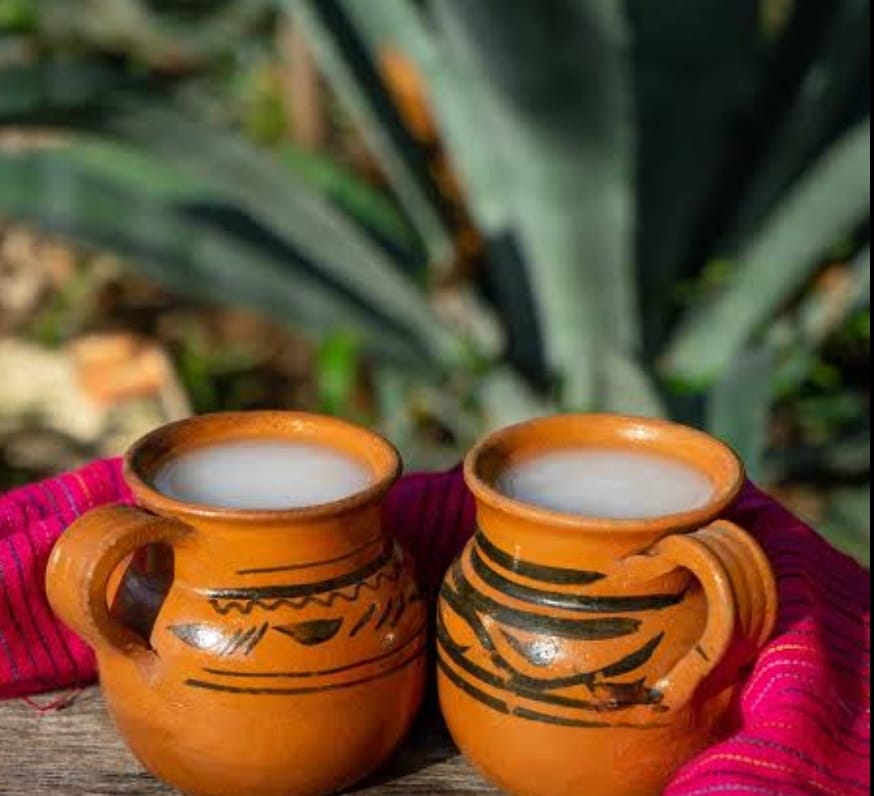 Anuncian la décima edición de la “Feria del Pulque y Derivados del Maguey” en San Andrés Cholula