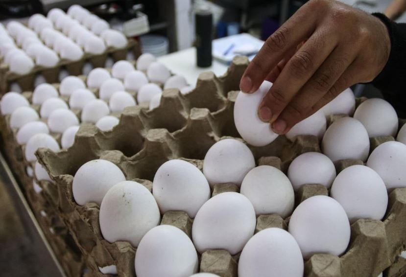 ¿Por qué no guardar los huevos en la puerta del refrigerador?