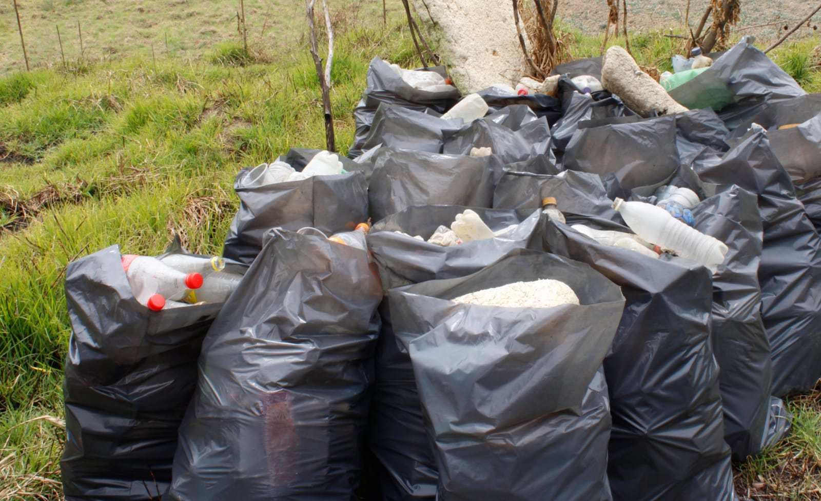 faena en río atoyac coronango 5