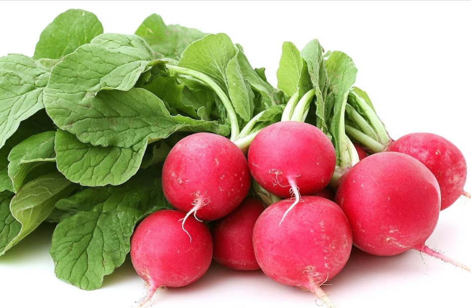 Rábano: Un superalimento para la salud hepática