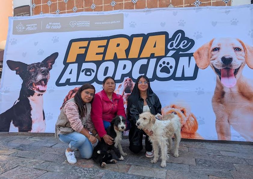 Atlixco abre su corazón a los perros rescatados