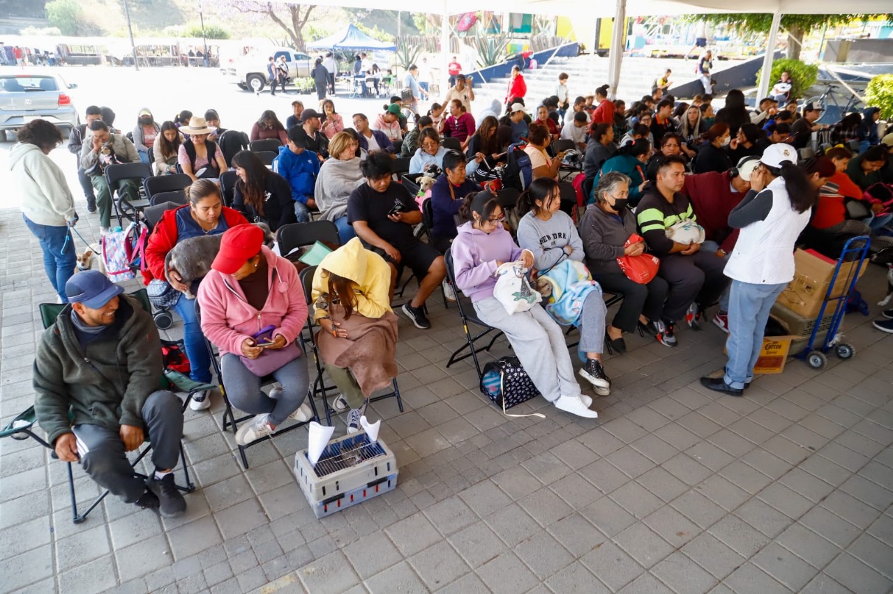 200 esterilizaciones spch 3