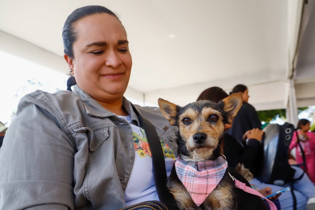 200 esterilizaciones spch 4
