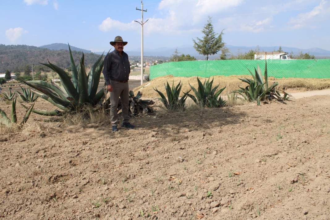  Fomtlax supera meta de créditos para agricultores tlaxcaltecas en 2025