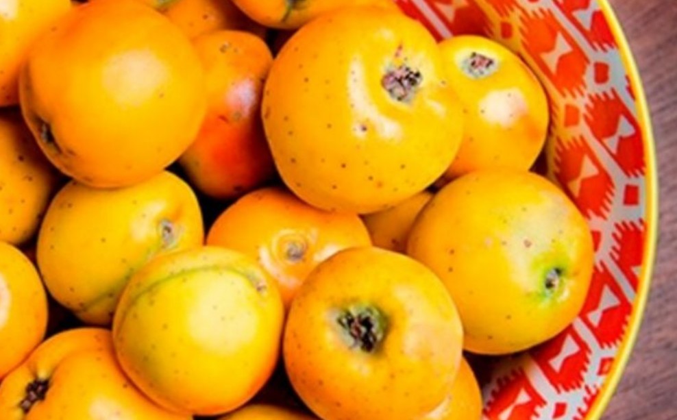 Una fruta mexicana poderosa para prevenir la anemia