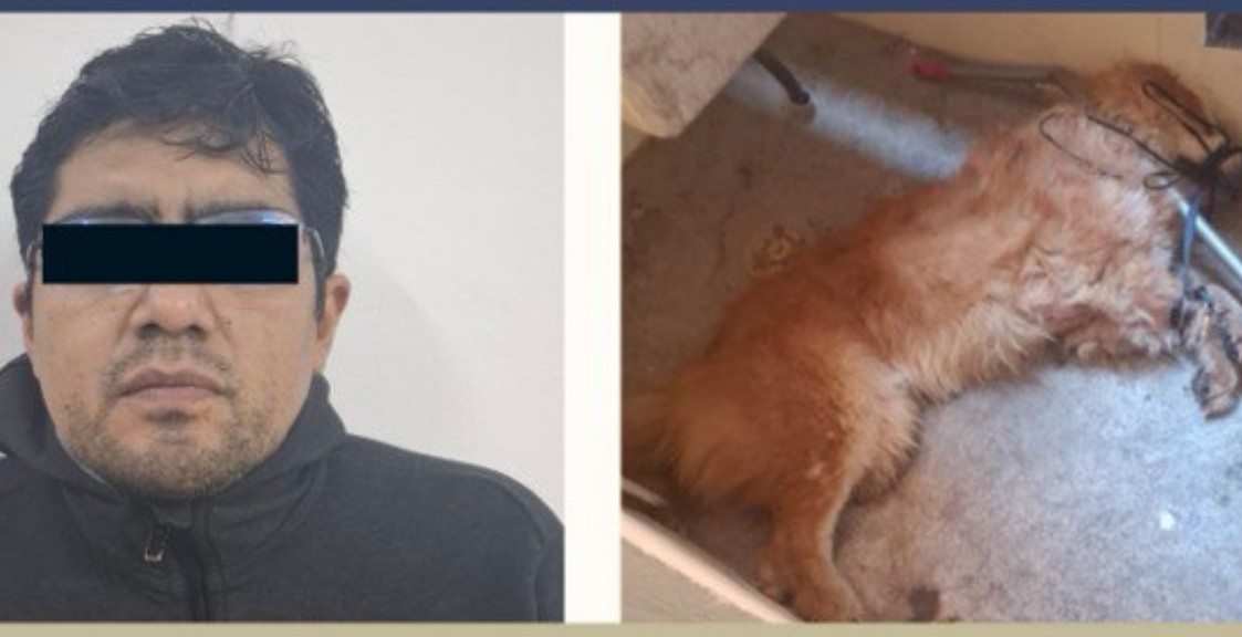 Prisión preventiva por crueldad animal en Puebla