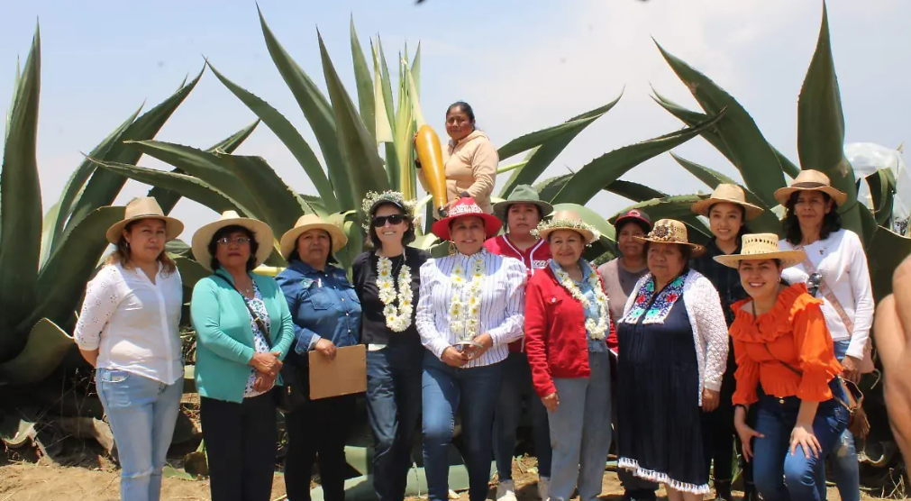 Metepantle de Tlaxcala: Patrimonio Agrícola Mundial y esperanza ante el cambio climático