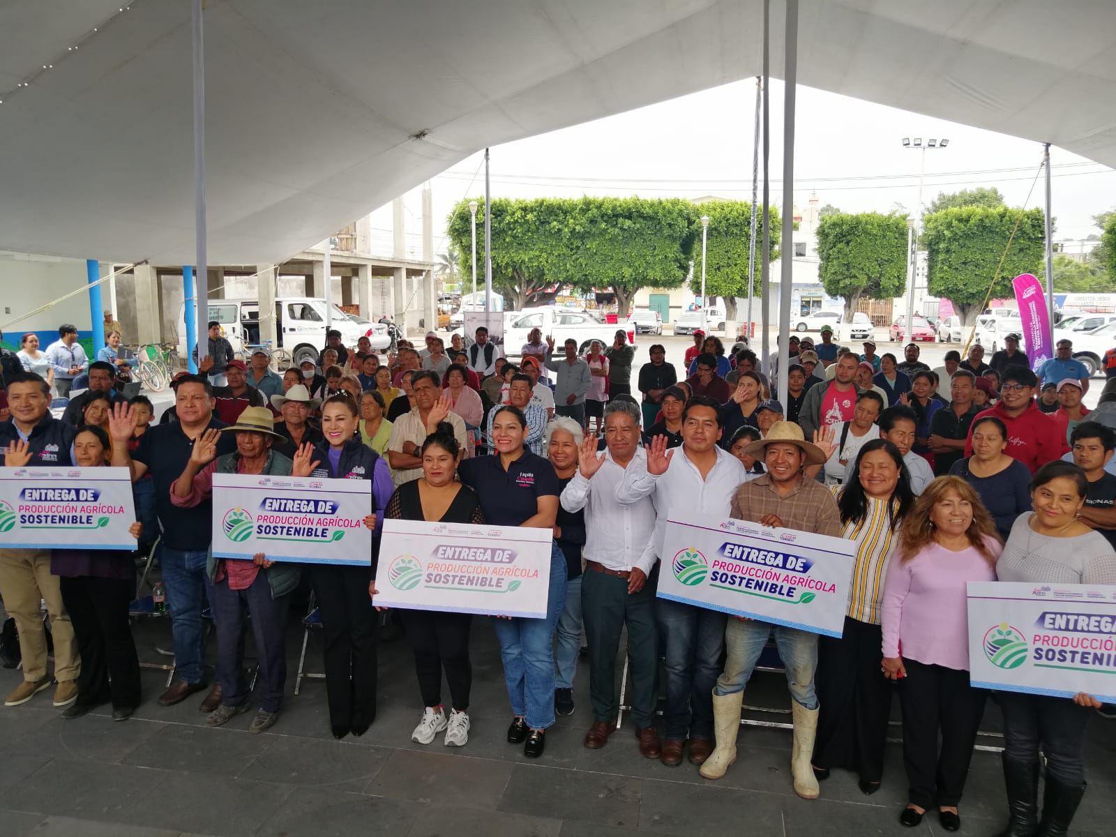 apoyo invernaderos sach 5