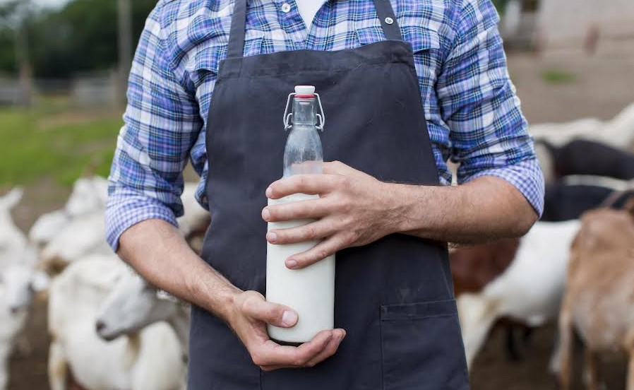 México, octavo productor mundial de leche bovina