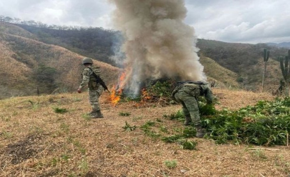 Estrategia Nacional de Seguridad: resultados del 28 de mayo en 17 estados
