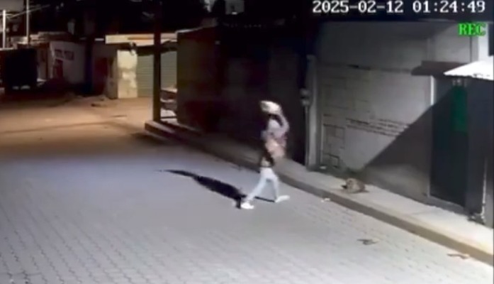 Perro agredido en Miahuatlán será homenajeado en la Feria de Puebla