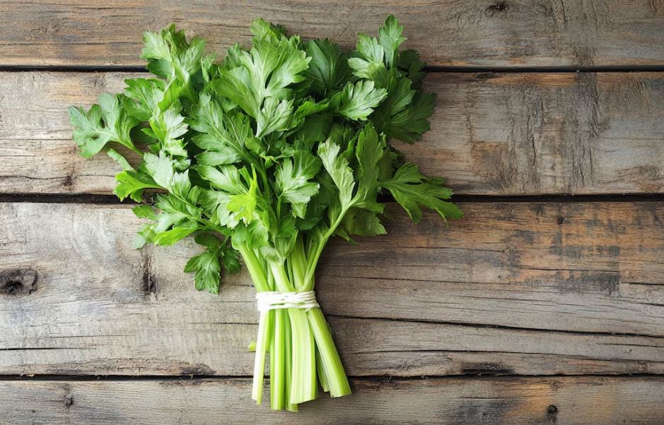 Apio: un vegetal ideal para perder peso de forma natural