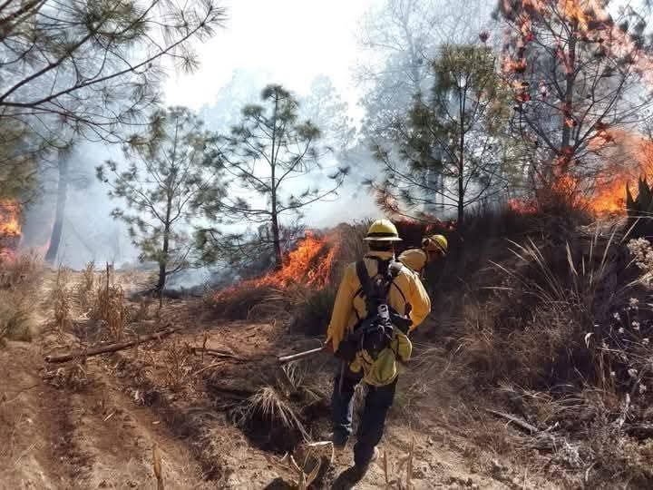Ante la omisión del gobierno, Atltzayanca se une contra incendios forestales