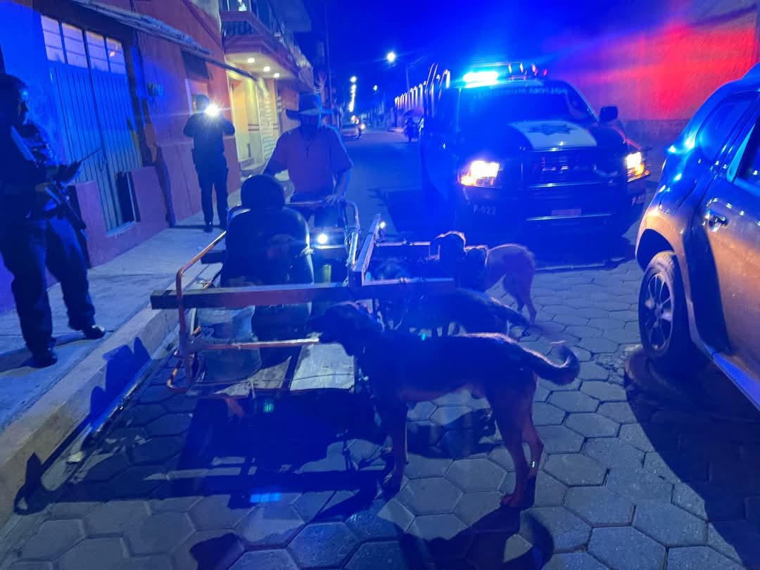 Rescatan a 7 caninos en Cholula tras operativo conjunto entre autoridades estatales y municipales