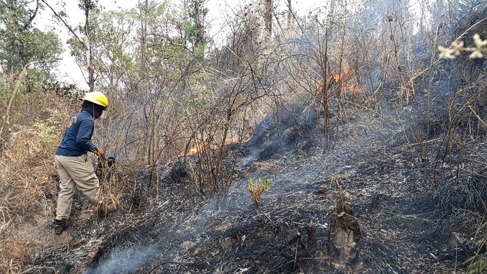 Sofocan incendio en el Cerro Zapotecas; se quemaron tres hectáreas