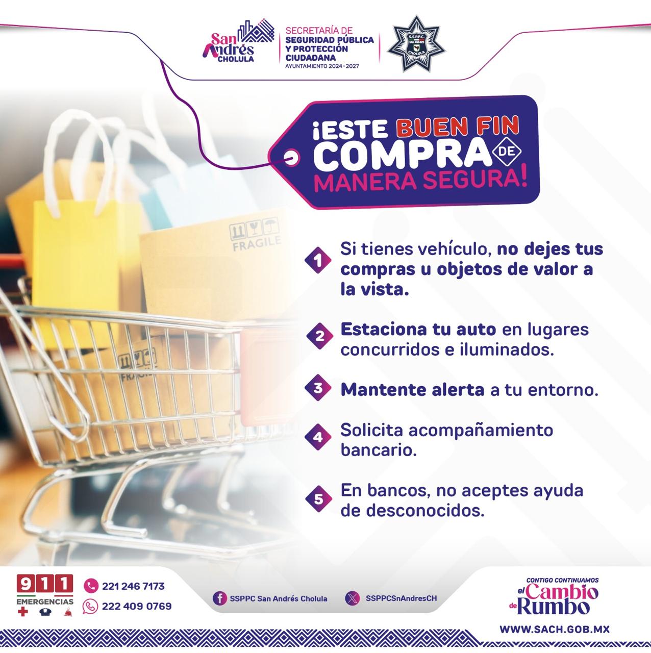buen fin 2025 104
