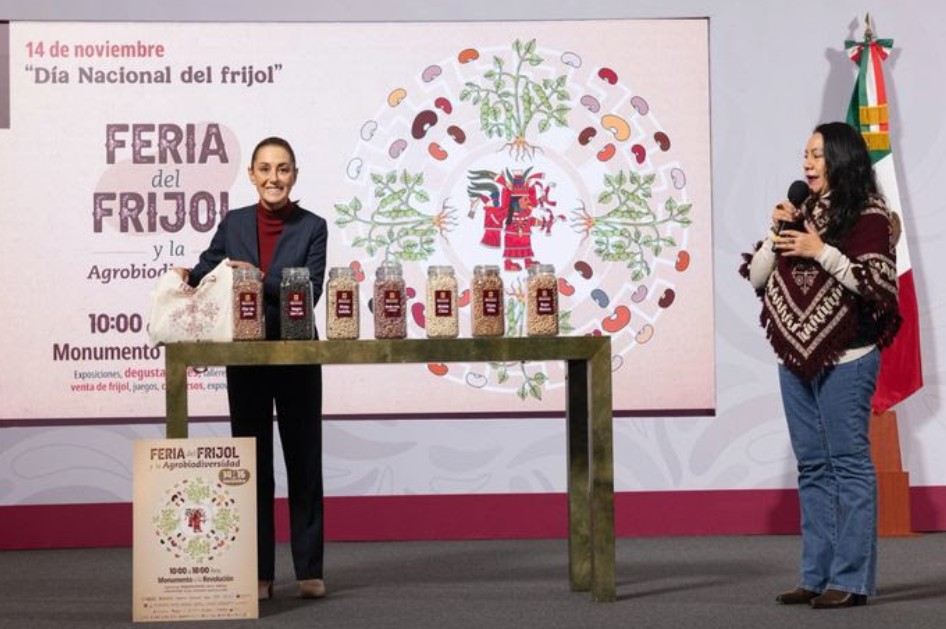 Frijoles Bienestar: el esfuerzo para cuidar semillas y apoyar al campo