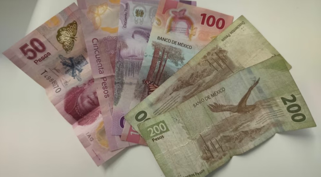 La decisión que puso orden en el cálculo de la prima