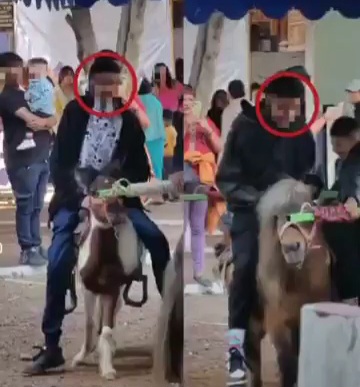 Demanda OCPA intervención de PROPAET por maltrato animal en Tlaxcala