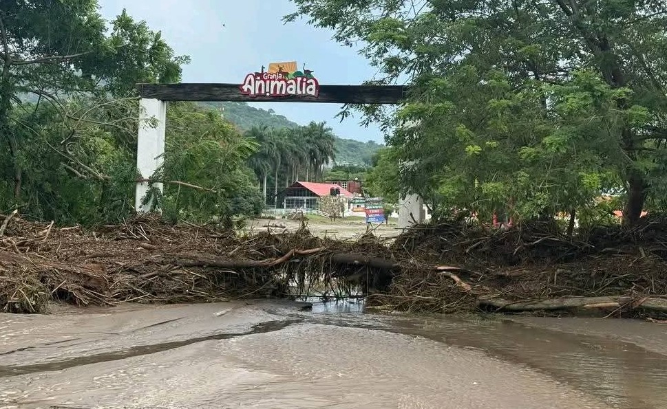 Tigre de bengala escapa tras el desbordamiento del río San Marcos