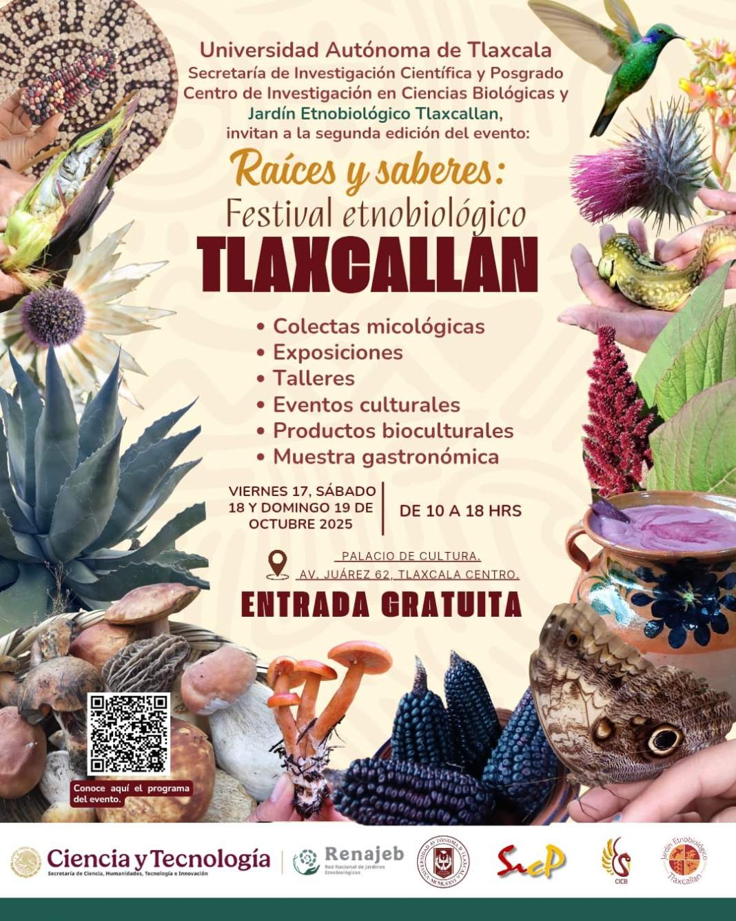 Raíces y Saberes 2025: descubre el patrimonio biocultural de Tlaxcala