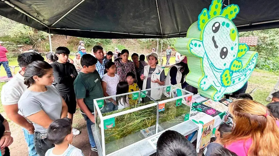 Tlaxcala impulsa conservación del ajolote y turismo ecológico en cinco municipios