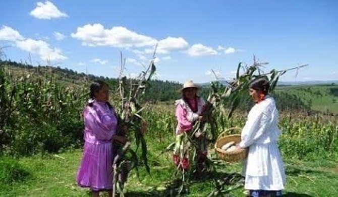 Tlaxcala impulsa a mujeres rurales con más de 390 millones en 4 años