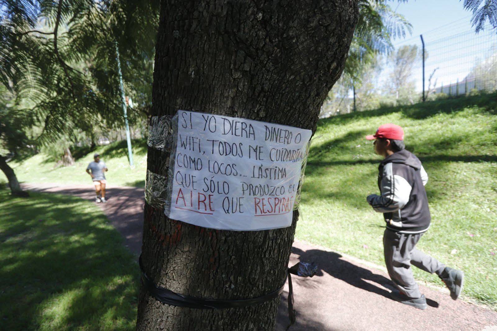 Convocan a marcha contra ecocidio en Parque de la Juventud