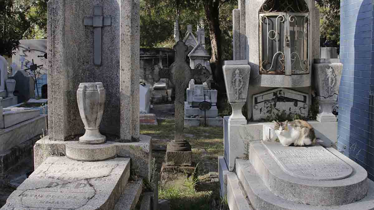 Panteón Municipal de Puebla al borde de la saturación: solo quedan 78 fosas disponibles