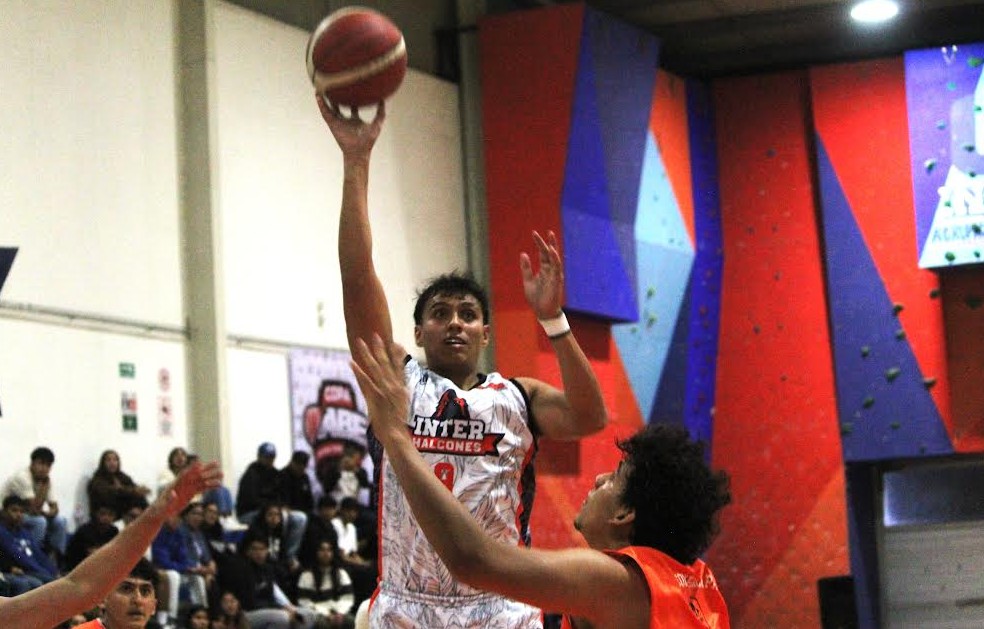 Nueva generación al mando de los Halcones de la Inter