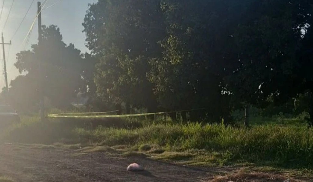 Hallazgo macabro en Izúcar de Matamoros